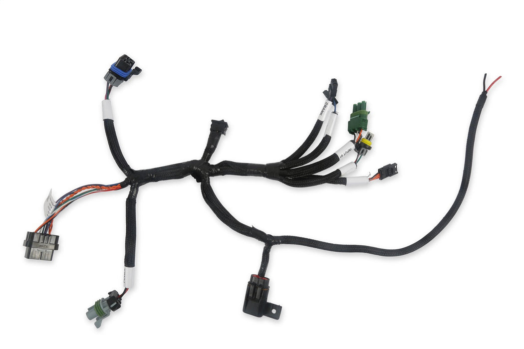 Holley EFI 558-127 Benchtop Wiring Harness