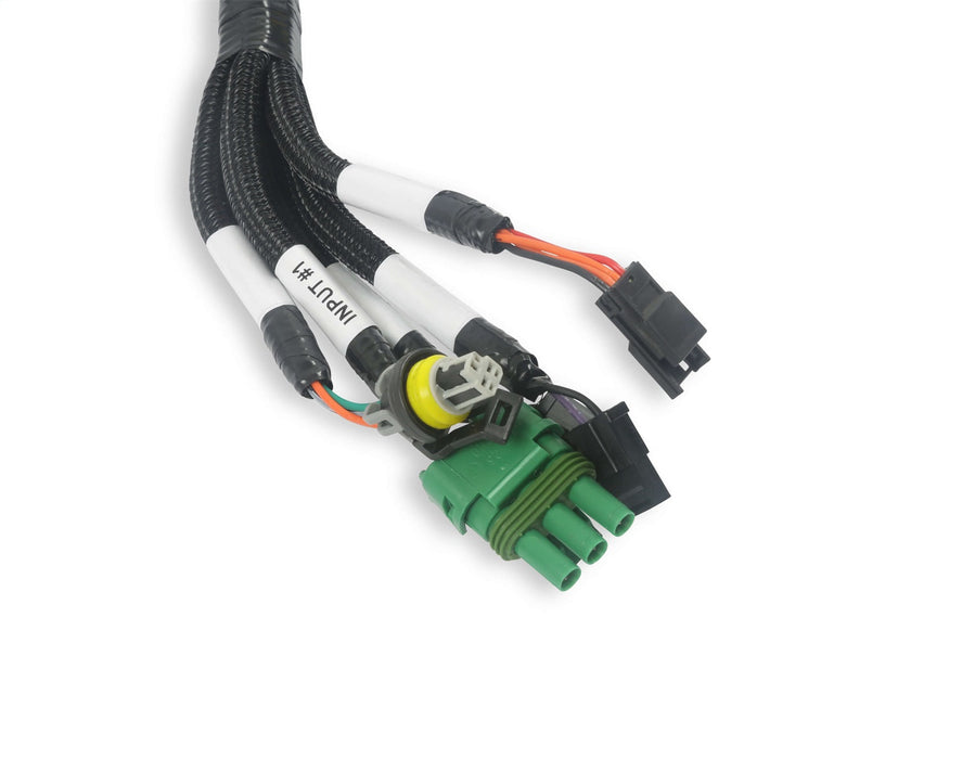 Holley EFI 558-127 Benchtop Wiring Harness